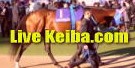 live-keiba.com