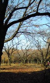 4f36791f.jpg