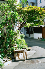 contax 023