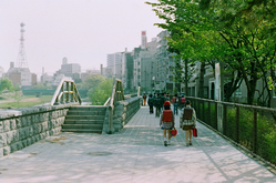 contax 003