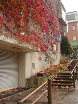 DSC06026