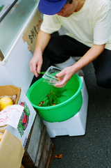 contax 005