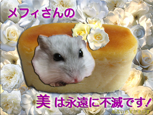 メフィ命日2