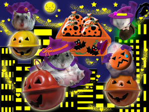 09hallow