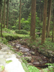 水場