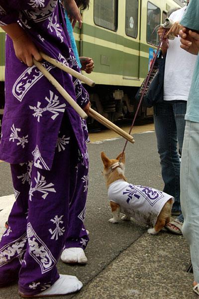 maturi
