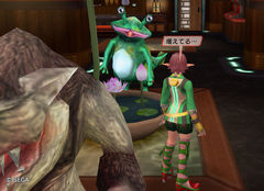 カクワネさんが