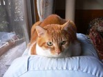 �ޡ�����