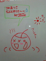 456a5e65.jpg