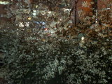 9c5861f6.jpg