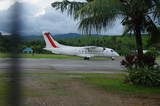 IMGP6491