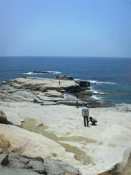 1a615453.jpg