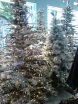 Christmas tree at marc