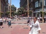SF(5.15.08)