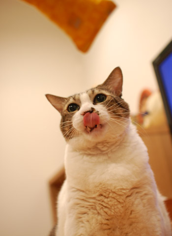 ゴクリ。