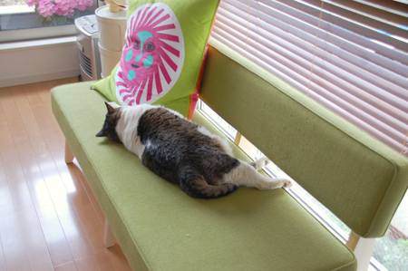 あんなにのびのび〜と寝ていたのに