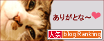 人気blogランキングへ