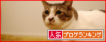 【人気blogランキングへ】いつもありがとうございます!
