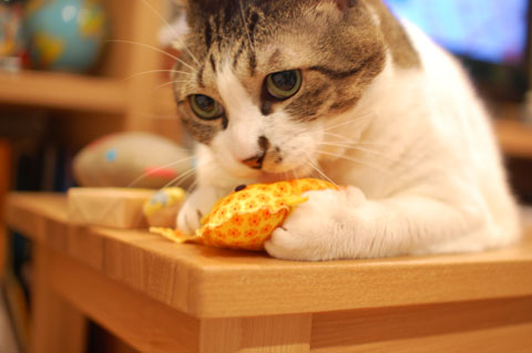 大事に抱えて