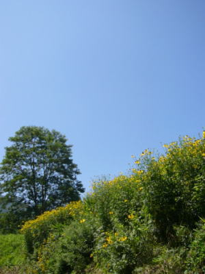 050728-07-s