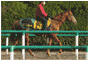 5f6710b8.gif