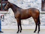 d169586b.jpg