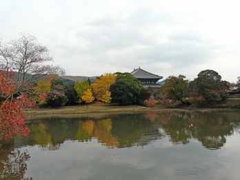 大仏池より