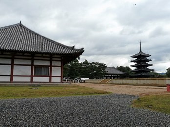 仮金堂から五重塔
