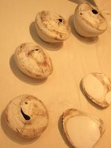 5768b572.jpg
