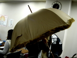 毛皮の傘