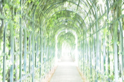 緑ノトンネル