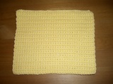 dishcloth