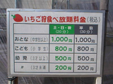 のどか村いちご
