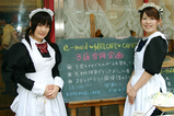ドール