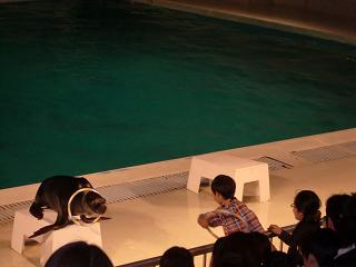 20091101���� (2)