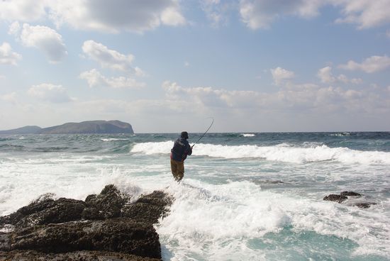 �ѥ��ץޥ󡡥ե�����
