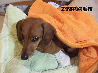 298�ߤ餷�������������ʾС�