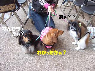 �ʤ��ʤ������̿��������襤��