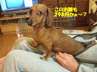 298�ߤ⤷�ʤ��衢���äȡʾС�