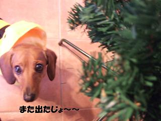 ���Ǥ����ʤΤ�Τ󤵤�ʾС�