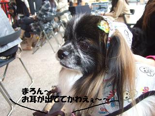 ̩���˥�����쥢�åפΤޤ��󷯡ʾС�