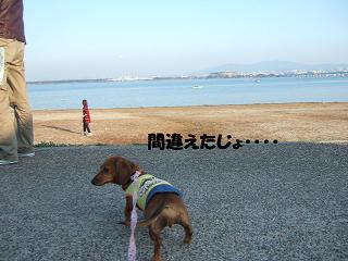 ���ʸФβΤ⤢�ä��褦�ʡ�