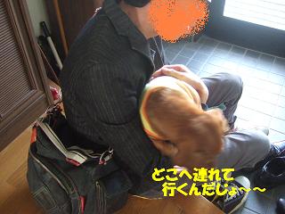 �Τ�Τ�Τ��Ф����Хå�˺���ʤ衼