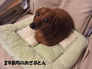 298�ߤΤ��˿��⤵��꿴�Ϥ��ɤ�