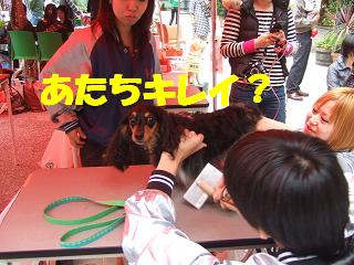 ��ǯ�⥭�쥤�ˤ��Ƥ��äƤ褫�ä��͡�