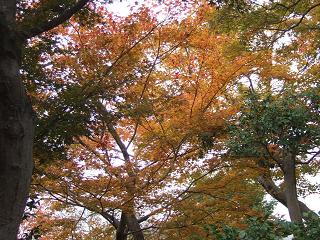 ���夲��Ȣ�