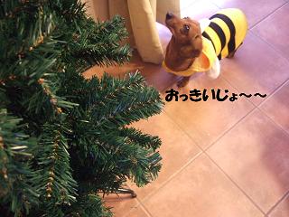 ���ˤ��ʤ�ۤɸ��夲�Ƥ�