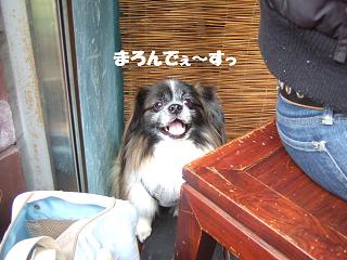 ��ǯ�֤���衢�ޤ���
