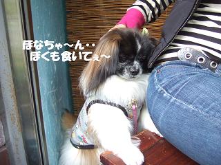 �ޤ���䡢����ʤȤ��ˤ��ƽ����ʤ��ä��������ʾС�