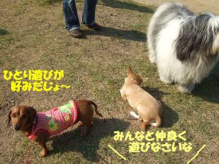 ���٤Ǥ�������ͧã��������Τ�Τ󤬸�������